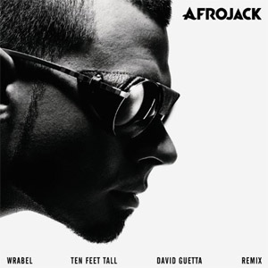 Disco Ten Feet Tall de Afrojack