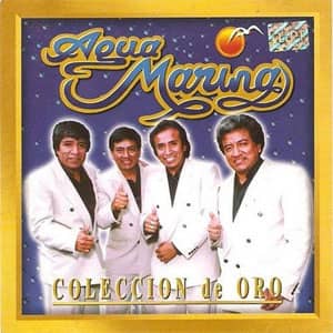 Disco Colección De Oro de Agua Marina