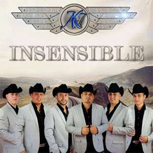 Disco Insensible de Ak7