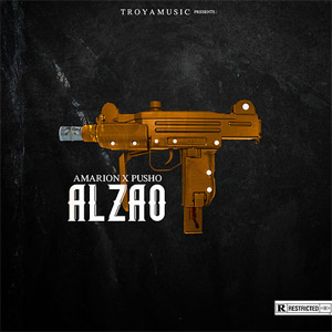 Disco Alzao de Amarion
