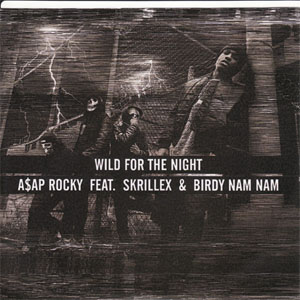 Disco Wild For The Night de A$AP Rocky