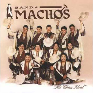 Disco Mi Chica Ideal de Banda Machos