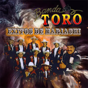 Disco Éxitos de Mariachi de Banda Toro