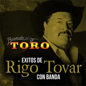 Disco Éxitos de Rigo Tovar Con Banda de Banda Toro