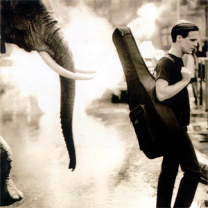 Disco On A Day Like Today de Bryan Adams