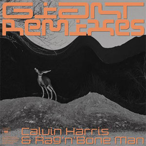 Disco Giant (Remixes) de Calvin Harris