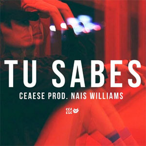 Disco Tu Sabes de Ceaese