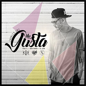 Disco Me Gusta de Charles Ans