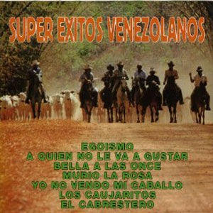 Disco Súper Éxitos Venezolanos de Cruz Tenepe