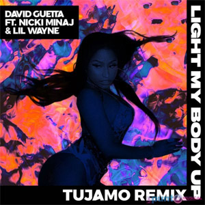 Disco Light My Body Up (Remix) de David Guetta