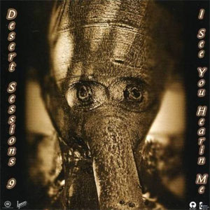 Disco Vols. 9 & 10 de Desert Sessions