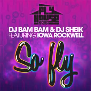 Disco So Fly de DJ Bam Bam
