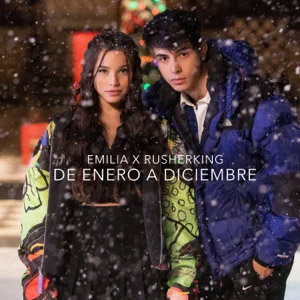 Disco De Enero a Diciembre de Emilia