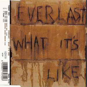 Disco What It's Like de Everlast