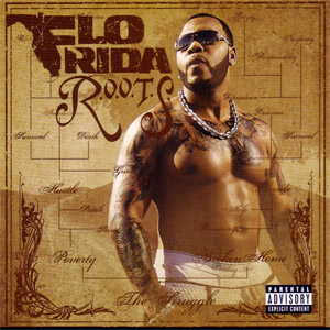 Disco R.o.o.t.s de Flo Rida