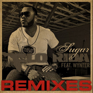Disco Sugar (Remixes) de Flo Rida