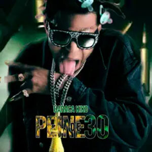 Disco Peine De 30 de Haraca Kiko