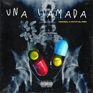 Disco Una Llamada de Hozwal