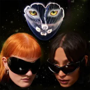 Disco I Want You de Icona Pop