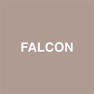 Disco Falcon de Jaden Smith