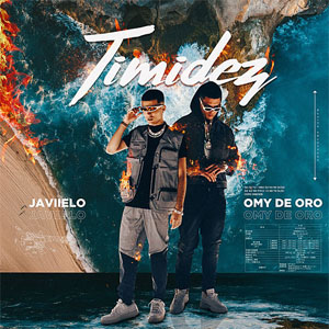Disco Timidez de Javiielo
