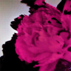 Disco All Of Me (Live)  de John Legend