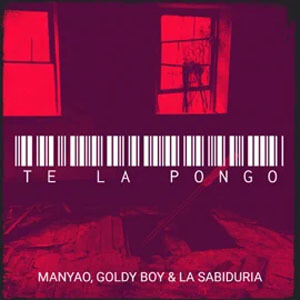 Disco Te La Pongo de Manyao