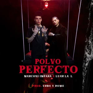 Disco Polvo Perfecto  de Marconi Impara