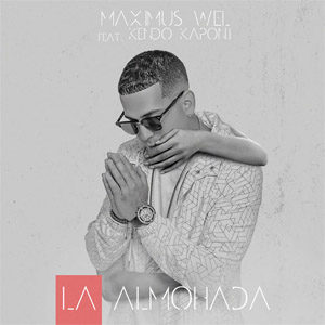 Disco La Almohada de Maximus Wel