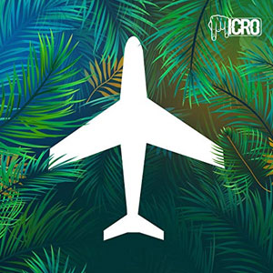 Disco Querer Volar de Micro TDH