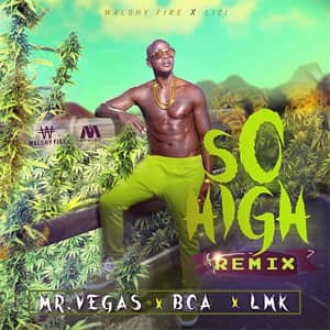 Disco So High (Remix) de Mr. Vegas