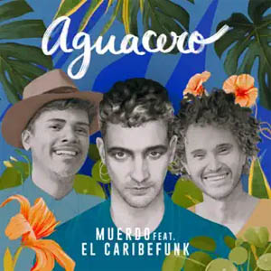 Disco Aguacero de Muerdo