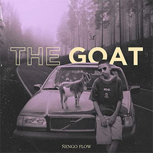 Disco The Goat de Ñengo Flow