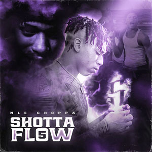 Disco Shotta Flow 5 de NLE Choppa