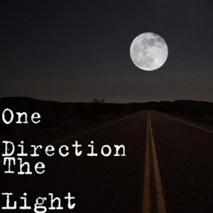 Disco The Light de One Direction