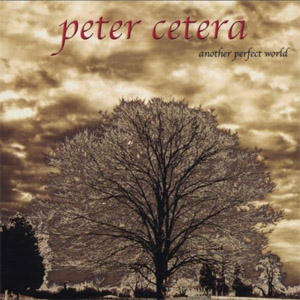 Disco Another Perfect World de Peter Cetera