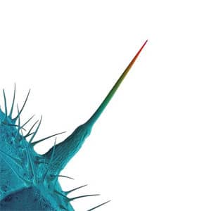 Disco And I'll Scratch Yours de Peter Gabriel