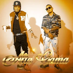 Disco Alta Gama (Remix) de Rochy RD