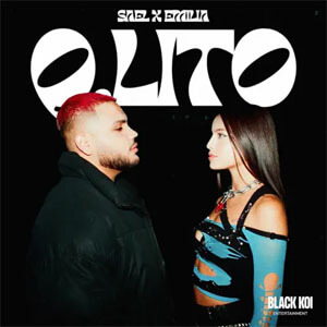 Disco Q-Lito de Sael