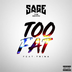 Disco Too Fat  de Sage The Gemini