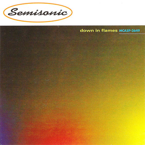 Disco Down In Flames de Semisonic