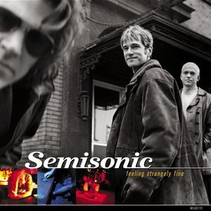 Disco Feeling Strangely Fine de Semisonic