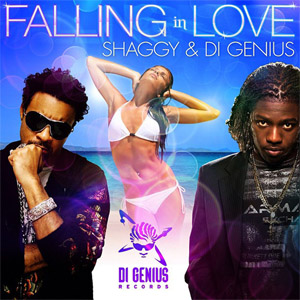 Disco Falling In Love de Shaggy