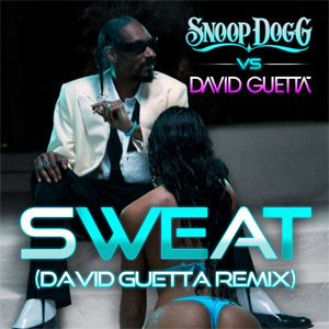 Disco Sweat (David Guetta Remix) de Snoop Dogg