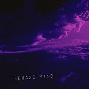 Disco Teenage Mind de Tate McRae