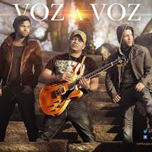 Disco Lágrimas Sin Ti  de Voz a Voz