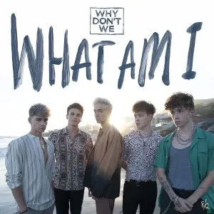 Disco What Am I de Why Don't We