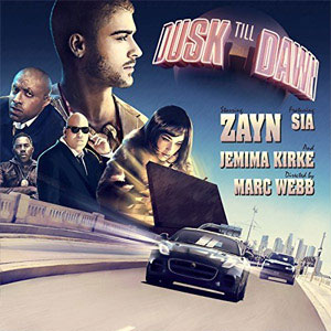 Disco Dusk Till Dawn de Zayn Malik