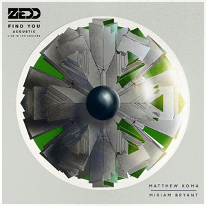 Disco Find You (Acoustic) de Zedd