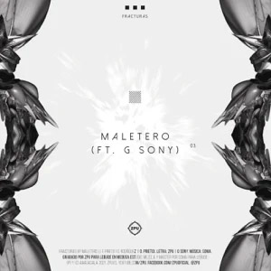 Disco Maletero de Zpu